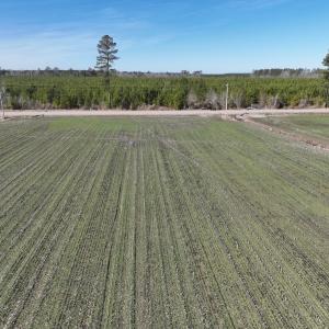 Photo #2 of Off Middle Swamp Rd, Corapeake, NC 49.0 acres