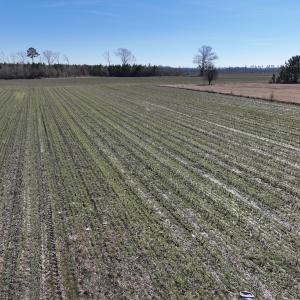 Photo #5 of Off Middle Swamp Rd, Corapeake, NC 49.0 acres