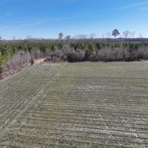 Photo #6 of Off Middle Swamp Rd, Corapeake, NC 49.0 acres