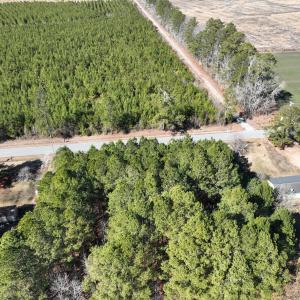 Photo #16 of Off Middle Swamp Rd, Corapeake, NC 49.0 acres