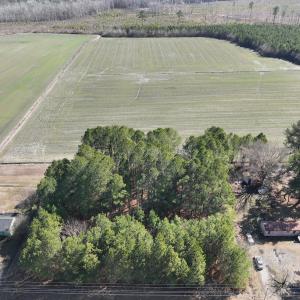 Photo #17 of Off Middle Swamp Rd, Corapeake, NC 49.0 acres