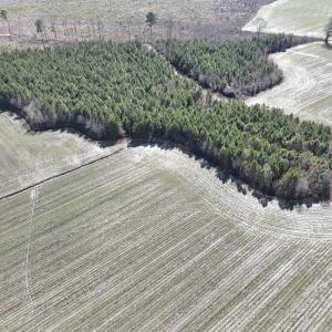 Photo #19 of Off Middle Swamp Rd, Corapeake, NC 49.0 acres