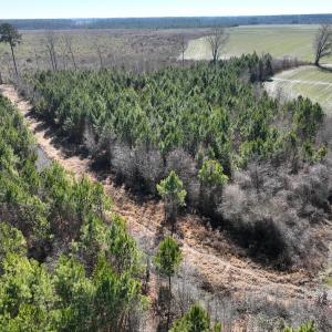 Photo #20 of Off Middle Swamp Rd, Corapeake, NC 49.0 acres