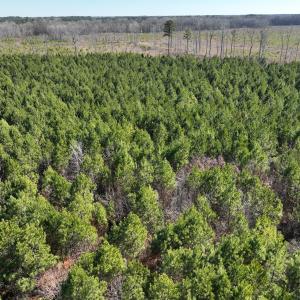 Photo #21 of Off Middle Swamp Rd, Corapeake, NC 49.0 acres