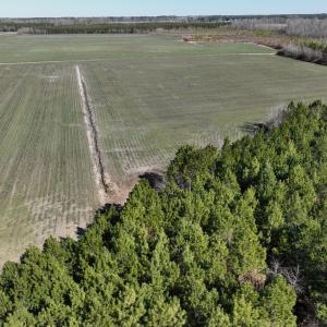 Photo #22 of Off Middle Swamp Rd, Corapeake, NC 49.0 acres