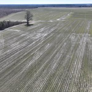 Photo #23 of Off Middle Swamp Rd, Corapeake, NC 49.0 acres