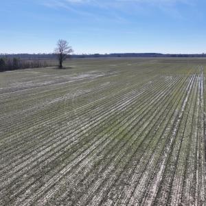 Photo #24 of Off Middle Swamp Rd, Corapeake, NC 49.0 acres