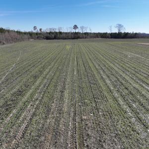Photo #25 of Off Middle Swamp Rd, Corapeake, NC 49.0 acres
