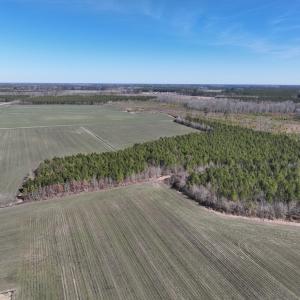 Photo #9 of Off Middle Swamp Rd, Corapeake, NC 49.0 acres