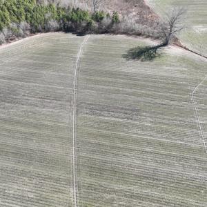 Photo #10 of Off Middle Swamp Rd, Corapeake, NC 49.0 acres