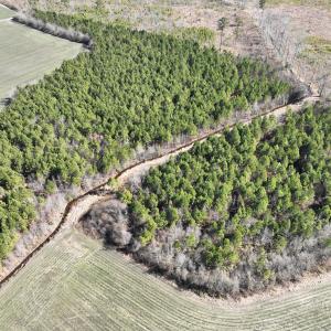 Photo #11 of Off Middle Swamp Rd, Corapeake, NC 49.0 acres