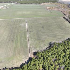 Photo #12 of Off Middle Swamp Rd, Corapeake, NC 49.0 acres