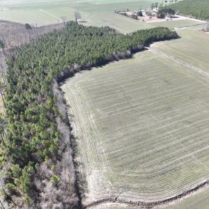 Photo #13 of Off Middle Swamp Rd, Corapeake, NC 49.0 acres