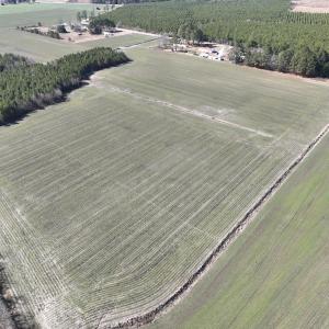 Photo #14 of Off Middle Swamp Rd, Corapeake, NC 49.0 acres