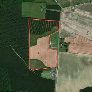 Photo #1 of SOLD property in Off Middle Swamp Rd, Corapeake, NC 44.6 acres