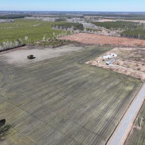 Photo #2 of SOLD property in Off Middle Swamp Rd, Corapeake, NC 44.6 acres