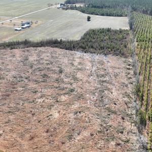 Photo #3 of SOLD property in Off Middle Swamp Rd, Corapeake, NC 44.6 acres