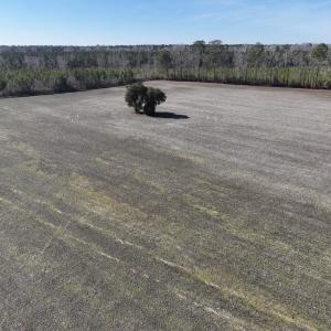 Photo #4 of SOLD property in Off Middle Swamp Rd, Corapeake, NC 44.6 acres