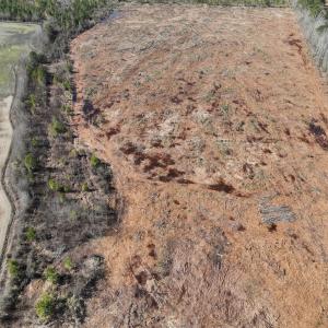 Photo #15 of SOLD property in Off Middle Swamp Rd, Corapeake, NC 44.6 acres