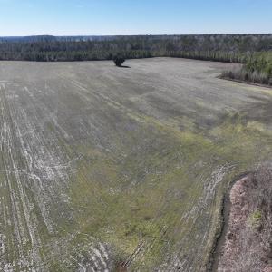 Photo #16 of SOLD property in Off Middle Swamp Rd, Corapeake, NC 44.6 acres
