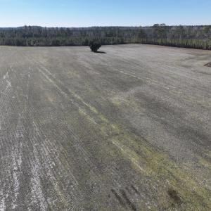 Photo #17 of SOLD property in Off Middle Swamp Rd, Corapeake, NC 44.6 acres
