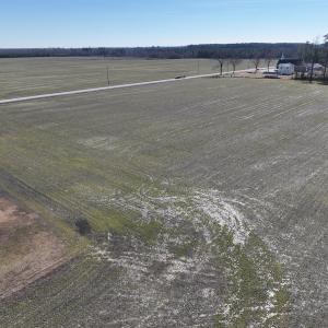 Photo #18 of SOLD property in Off Middle Swamp Rd, Corapeake, NC 44.6 acres