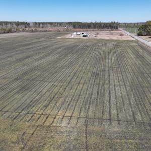 Photo #19 of SOLD property in Off Middle Swamp Rd, Corapeake, NC 44.6 acres