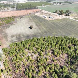 Photo #9 of SOLD property in Off Middle Swamp Rd, Corapeake, NC 44.6 acres