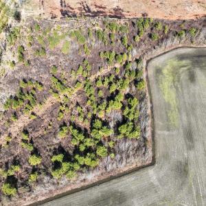 Photo #11 of SOLD property in Off Middle Swamp Rd, Corapeake, NC 44.6 acres