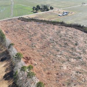 Photo #12 of SOLD property in Off Middle Swamp Rd, Corapeake, NC 44.6 acres