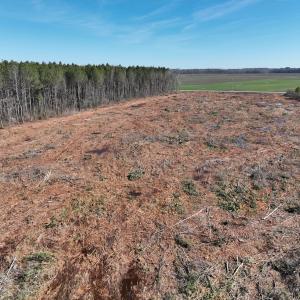Photo #13 of SOLD property in Off Middle Swamp Rd, Corapeake, NC 44.6 acres