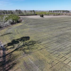 Photo #5 of SOLD property in Off Middle Swamp Rd, Corapeake, NC 44.6 acres