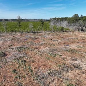Photo #6 of SOLD property in Off Middle Swamp Rd, Corapeake, NC 44.6 acres