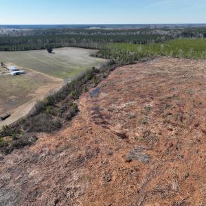 Photo #7 of SOLD property in Off Middle Swamp Rd, Corapeake, NC 44.6 acres