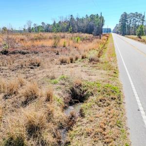 Photo #5 of State HWY 72, Pembroke, NC 29.2 acres