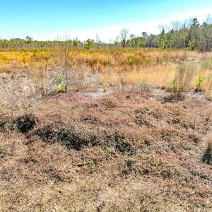 Photo #11 of State HWY 72, Pembroke, NC 29.2 acres