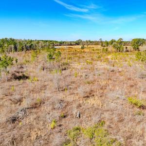 Photo #20 of State HWY 72, Pembroke, NC 29.2 acres