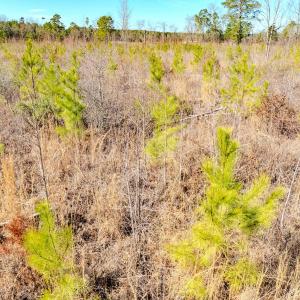 Photo #21 of State HWY 72, Pembroke, NC 29.2 acres