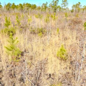 Photo #23 of State HWY 72, Pembroke, NC 29.2 acres