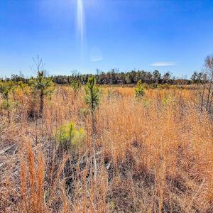 Photo #24 of State HWY 72, Pembroke, NC 29.2 acres