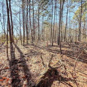 Photo #25 of State HWY 72, Pembroke, NC 29.2 acres