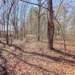 Photo #26 of State HWY 72, Pembroke, NC 29.2 acres