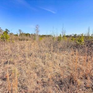 Photo #28 of State HWY 72, Pembroke, NC 29.2 acres