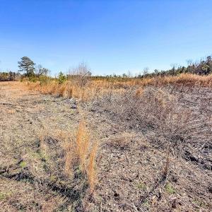 Photo #35 of State HWY 72, Pembroke, NC 29.2 acres