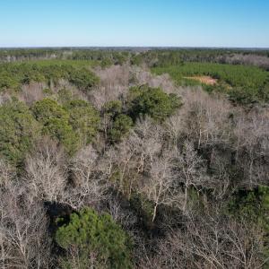 Photo #10 of Off Ashbury Lane, Richlands, NC 10.0 acres