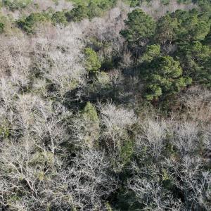 Photo #11 of Off Ashbury Lane, Richlands, NC 10.0 acres