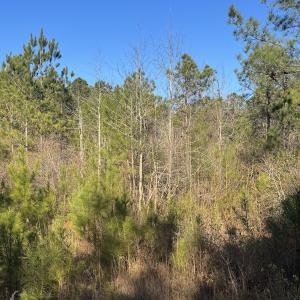 Photo #14 of Off Ashbury Lane, Richlands, NC 10.0 acres