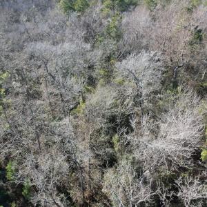 Photo #18 of Off Ashbury Lane, Richlands, NC 10.0 acres