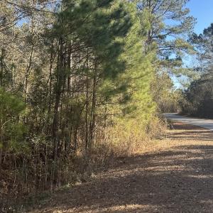 Photo #5 of Off Ashbury Lane, Richlands, NC 10.0 acres
