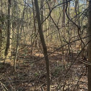 Photo #6 of Off Ashbury Lane, Richlands, NC 10.0 acres